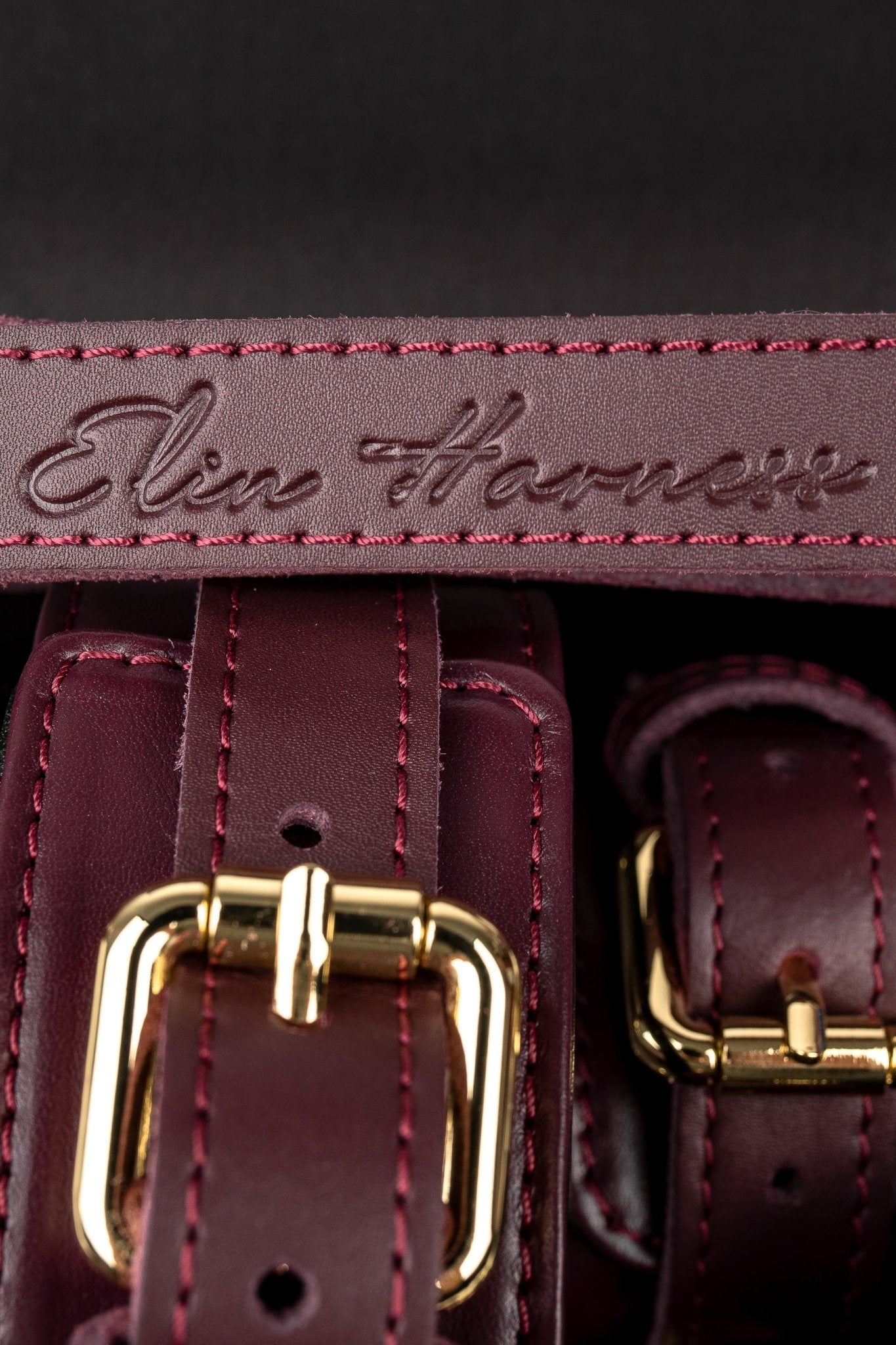 Luxury Submissive Box. 10 colors - Elinlatex