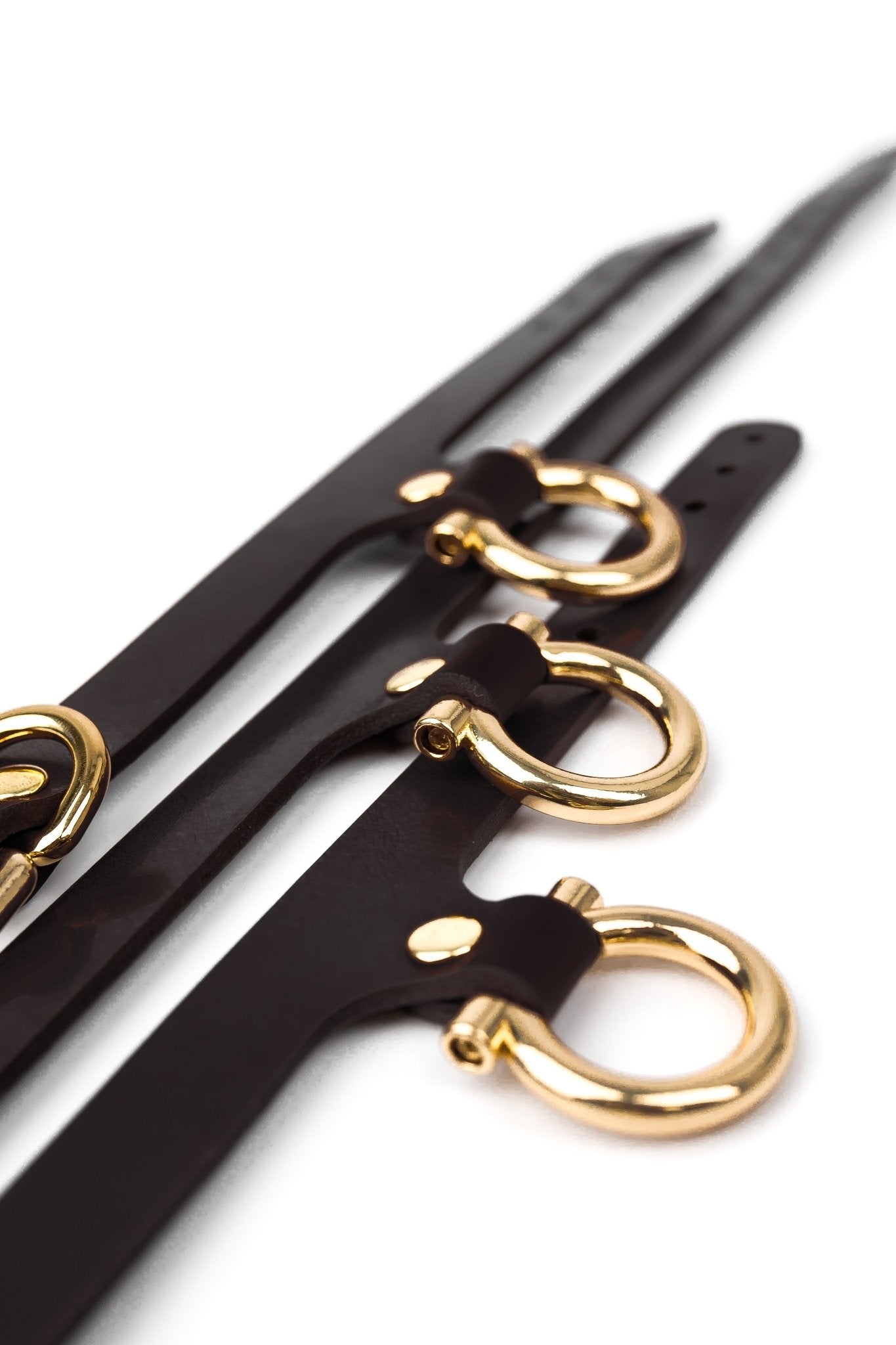 Set “Horseshoe” Cuffs And Collar - Elinlatex