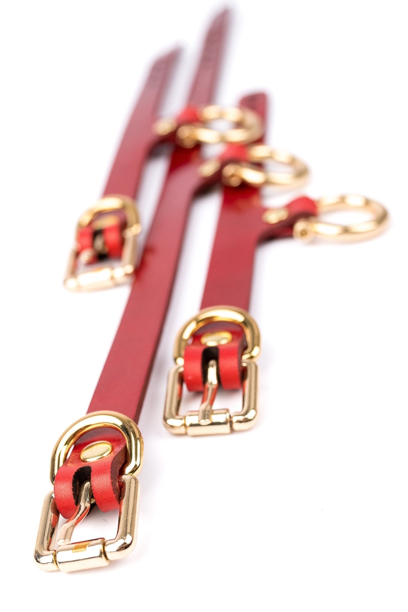 Set “Horseshoe” Cuffs And Collar - Elinlatex