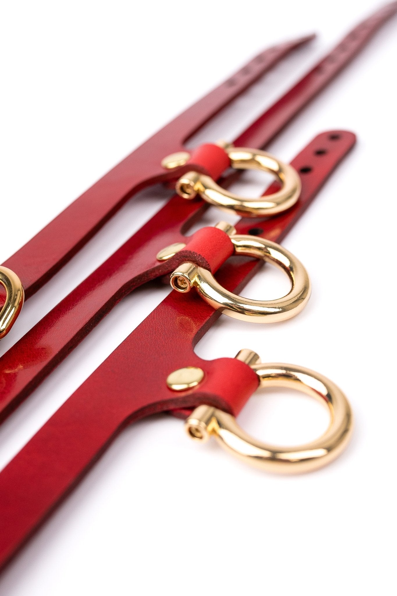 Set “Horseshoe” Cuffs And Collar - Elinlatex