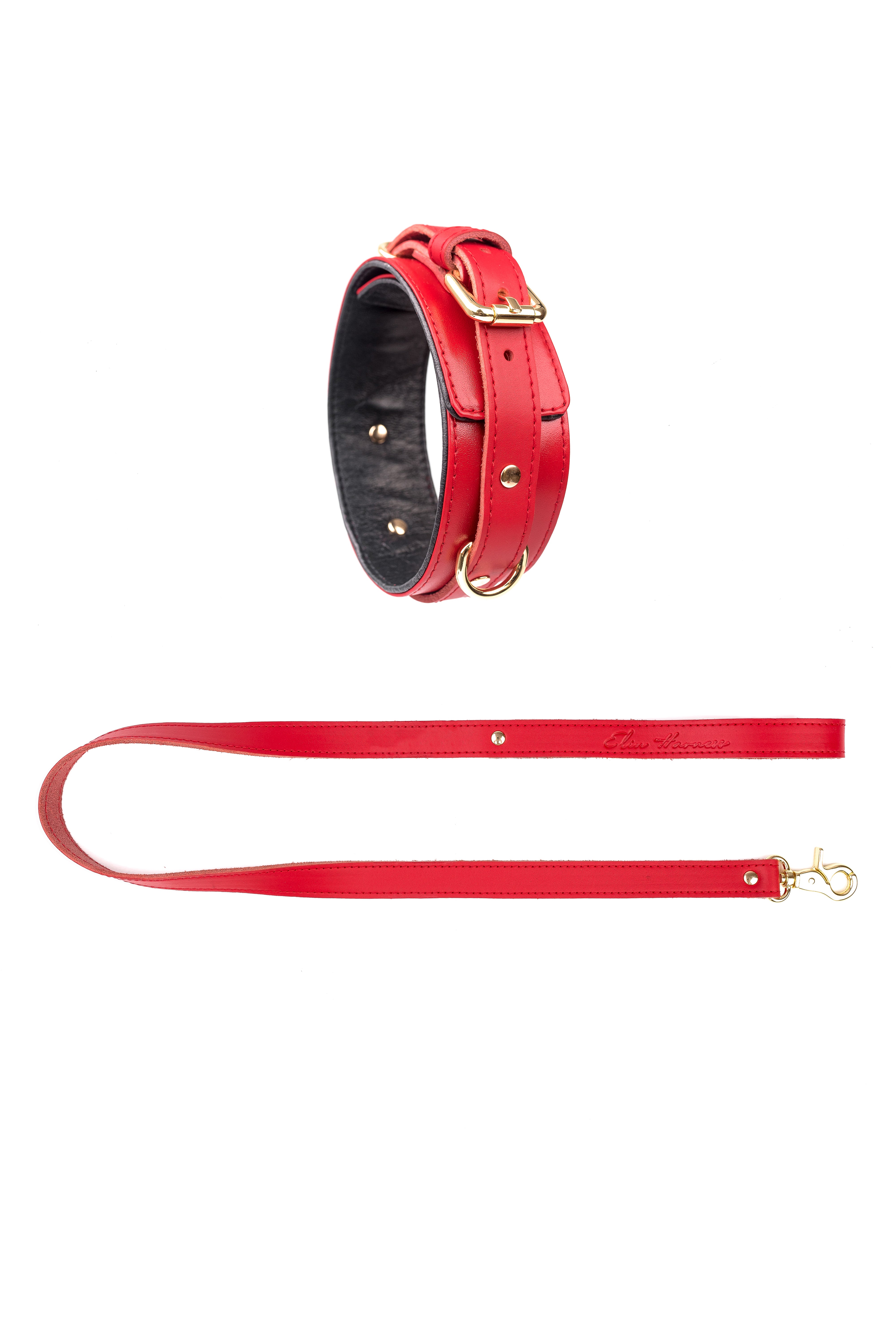 Leather Choker with Leash. 10 colors