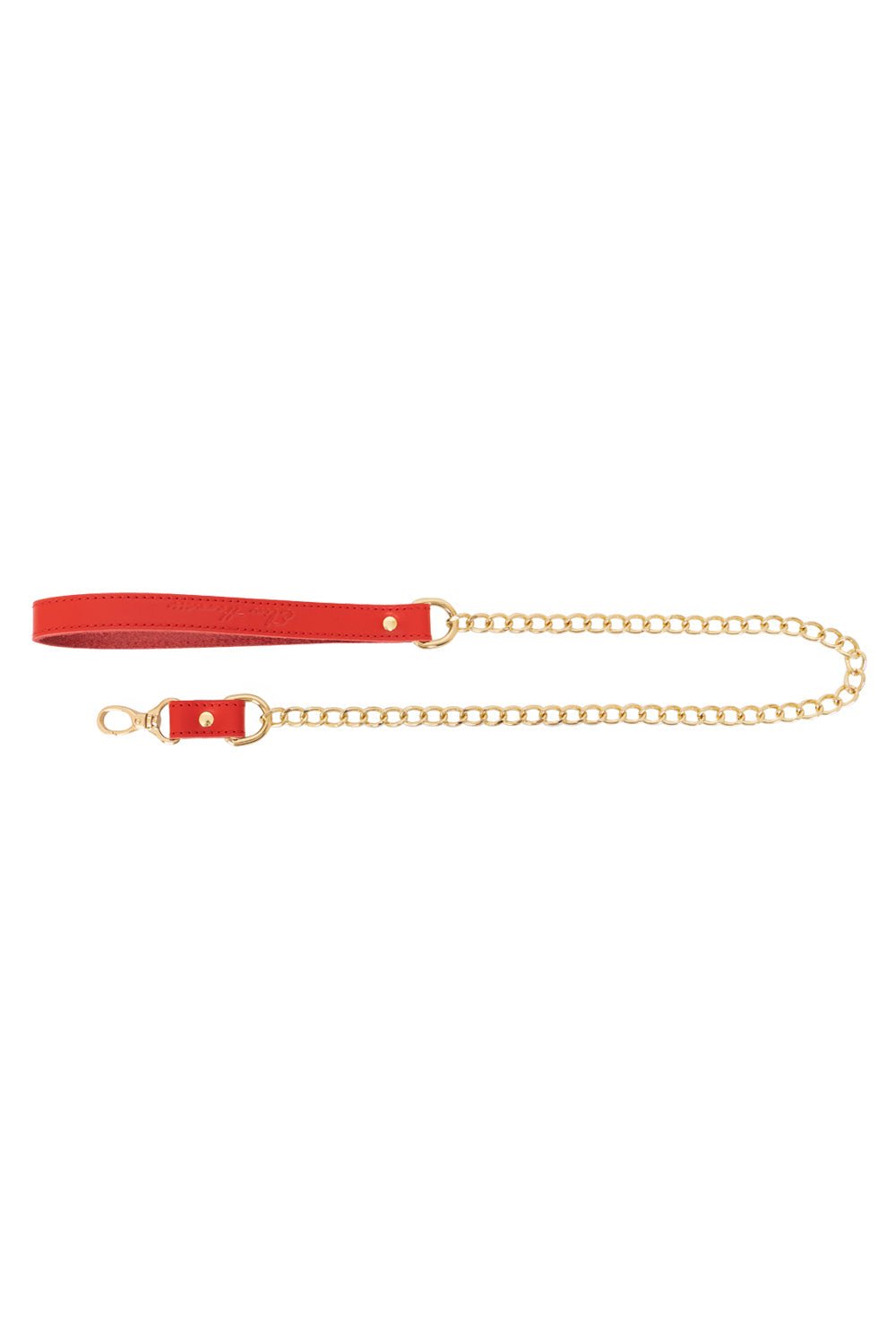 Chain Large Links Leash - Elinlatex