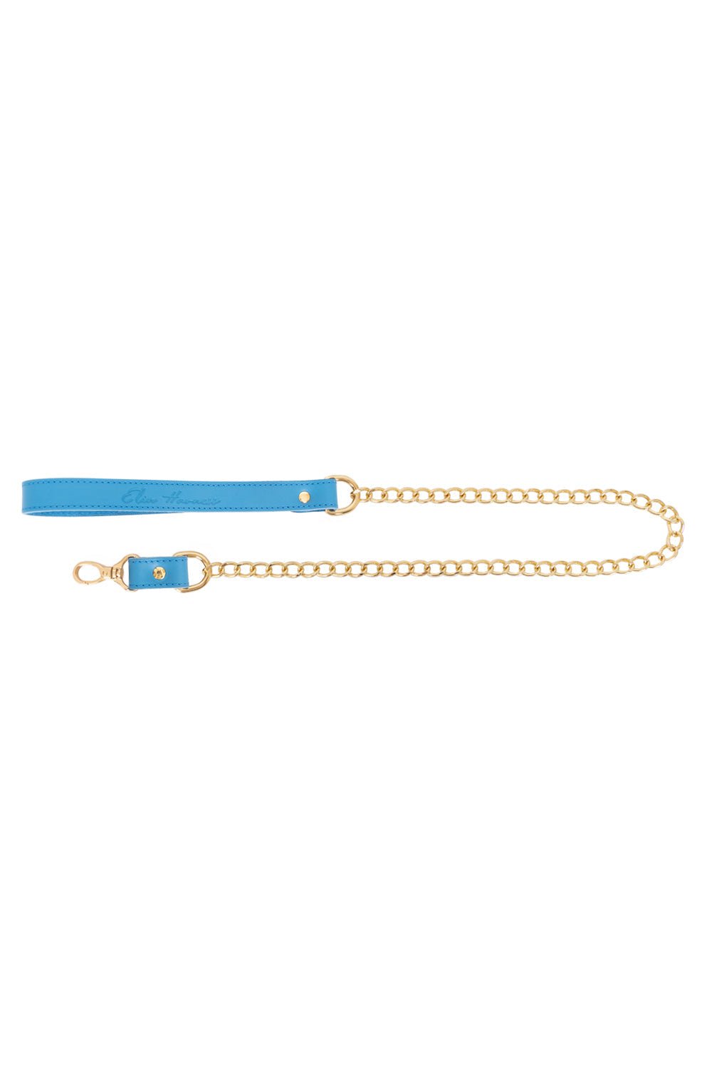 Chain Standard Links Leash - Elinlatex