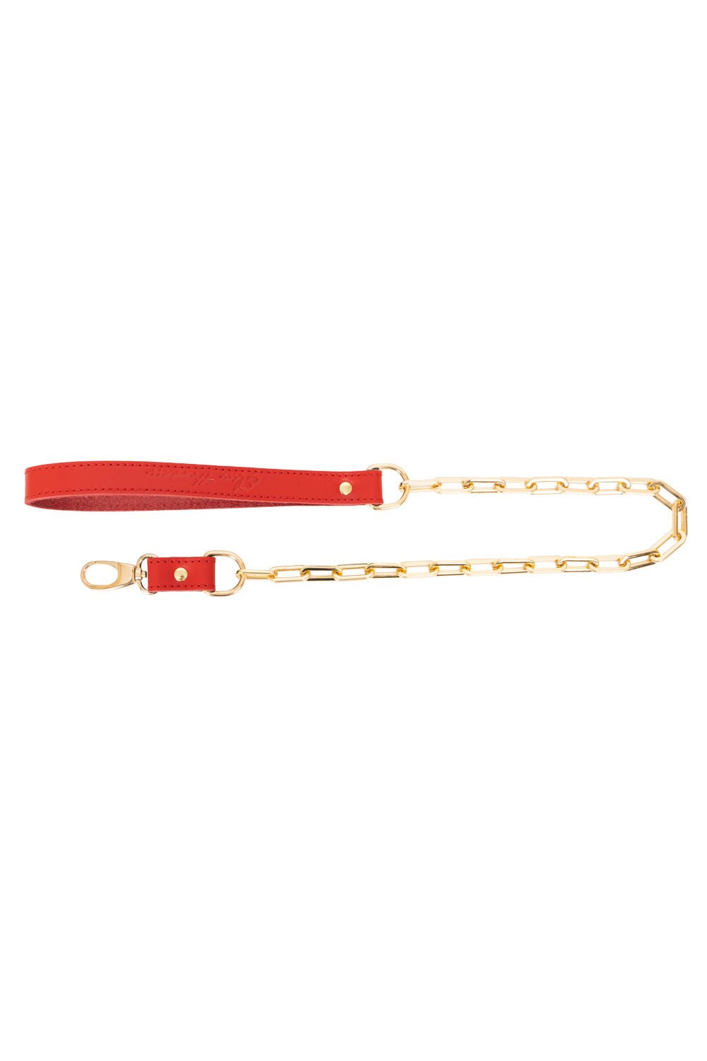 Chain Standard Links Leash - Elinlatex