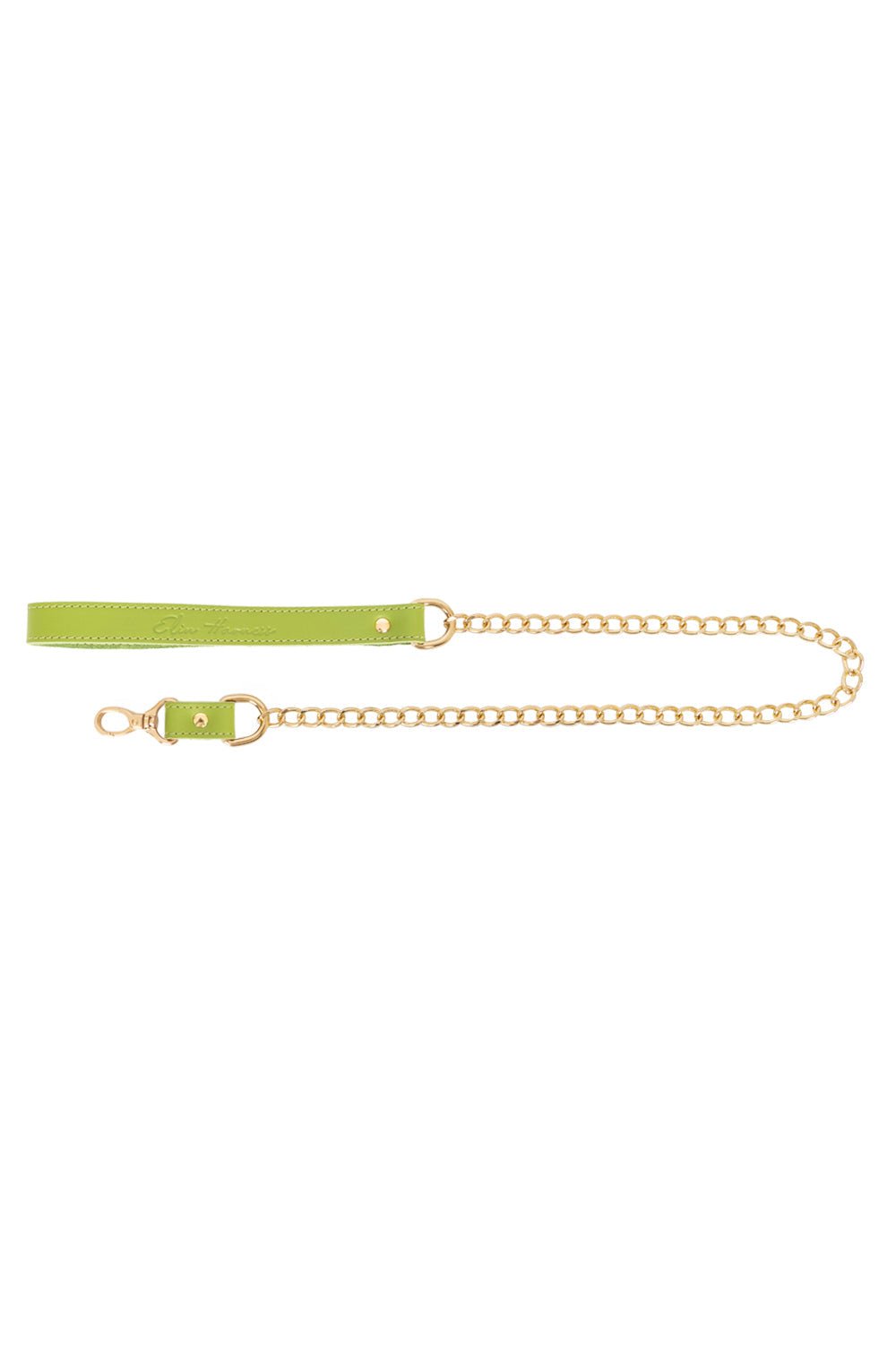 Chain Standard Links Leash - Elinlatex