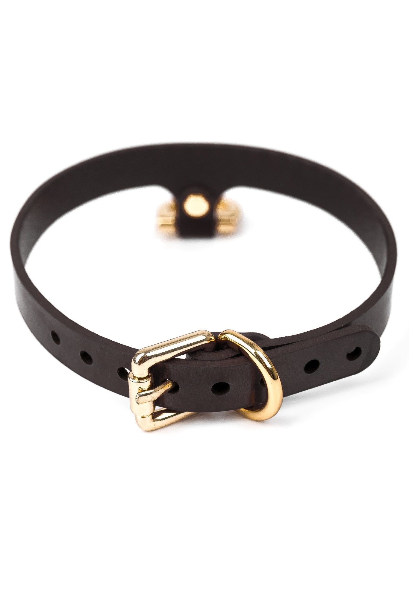 Collar “Horseshoe” - Elinlatex