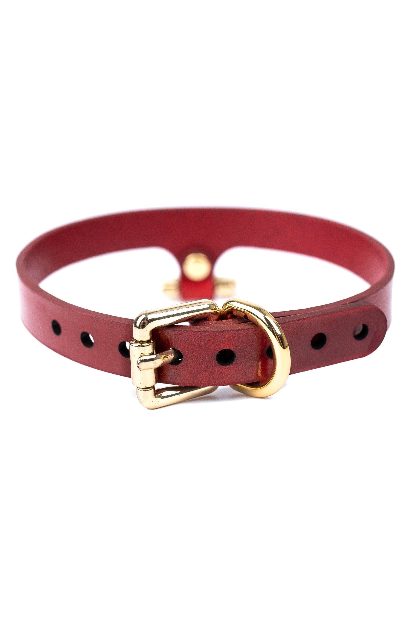 Collar “Horseshoe” - Elinlatex