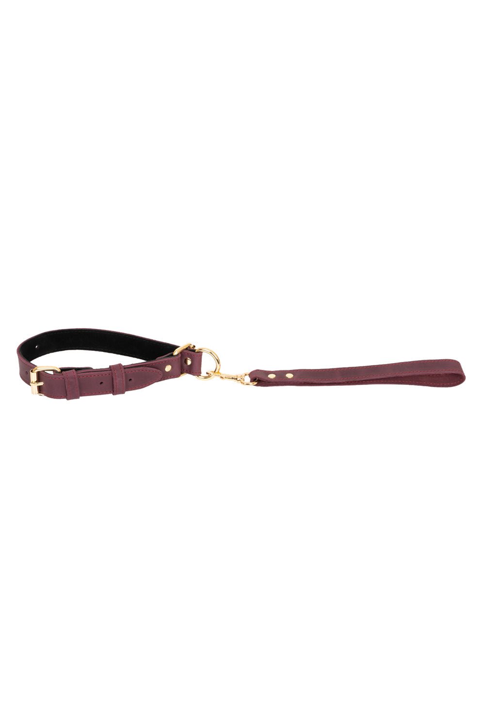 CRAZY HORSE leather self - tightening choke collar - Elinlatex