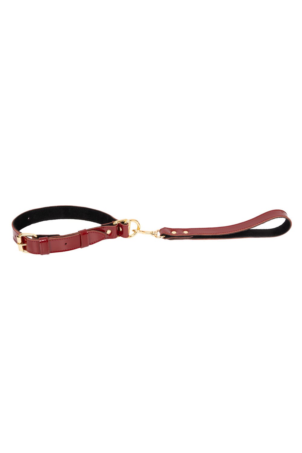 Lacquered leather self - tightening choke collar - Elinlatex