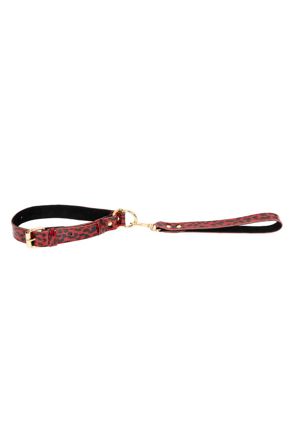 Lacquered leather self - tightening choke collar - Elinlatex