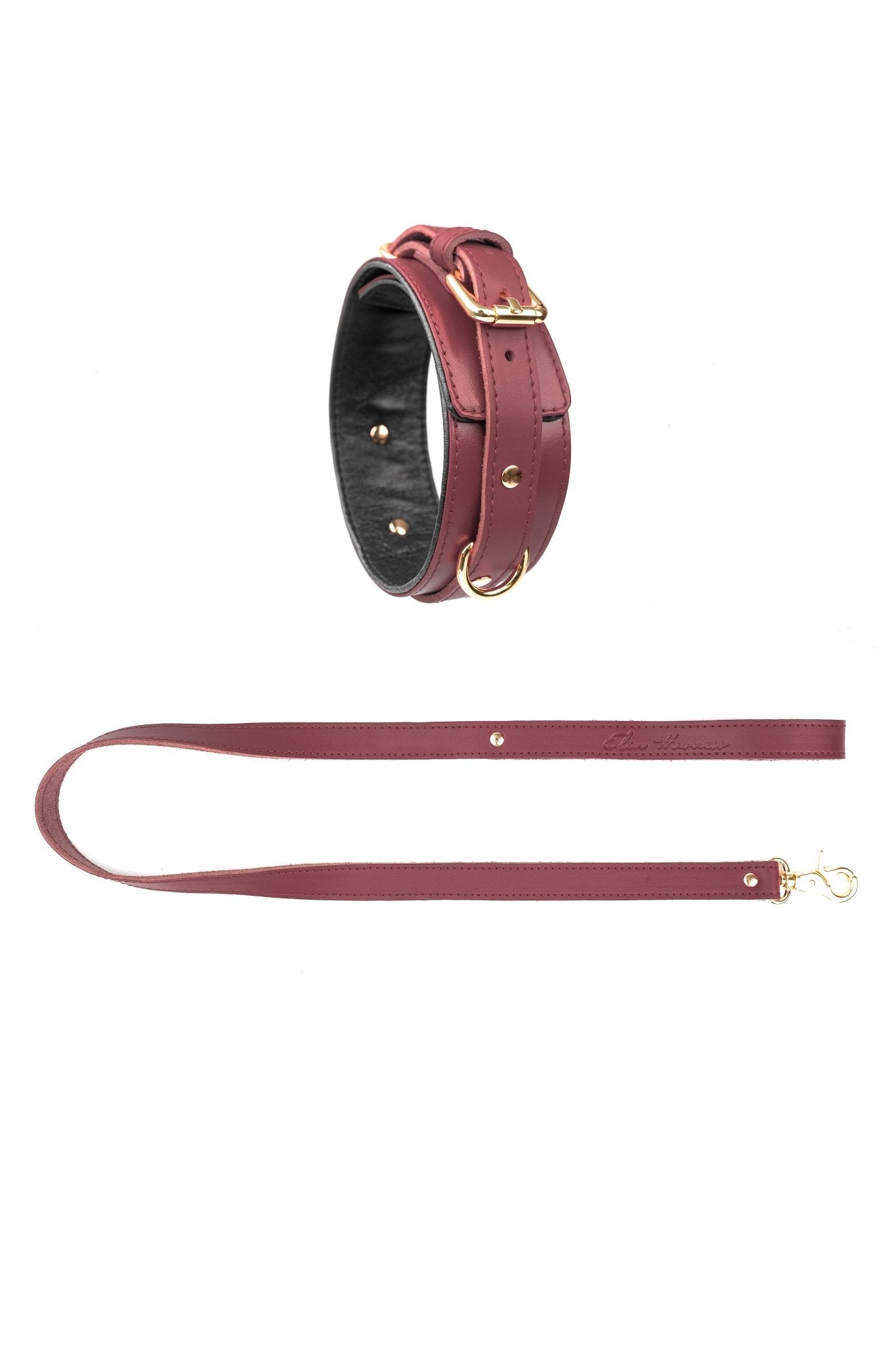 Leather Choker with Leash. 10 colors - Elinlatex