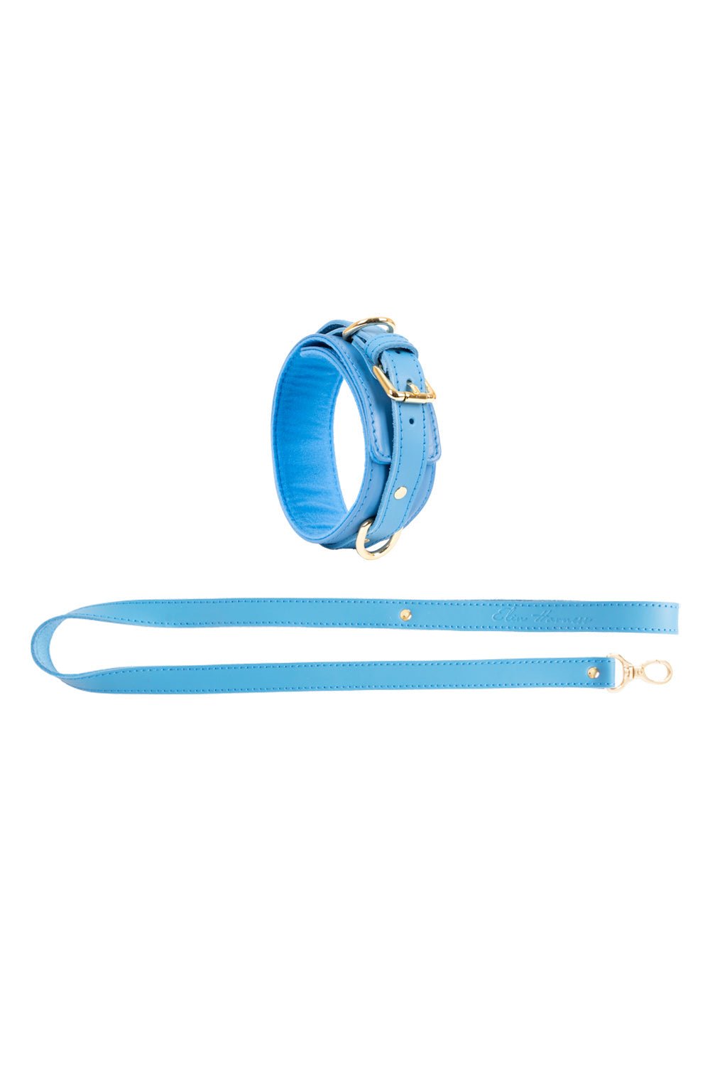 Leather Choker with Leash. 10 colors - Elinlatex