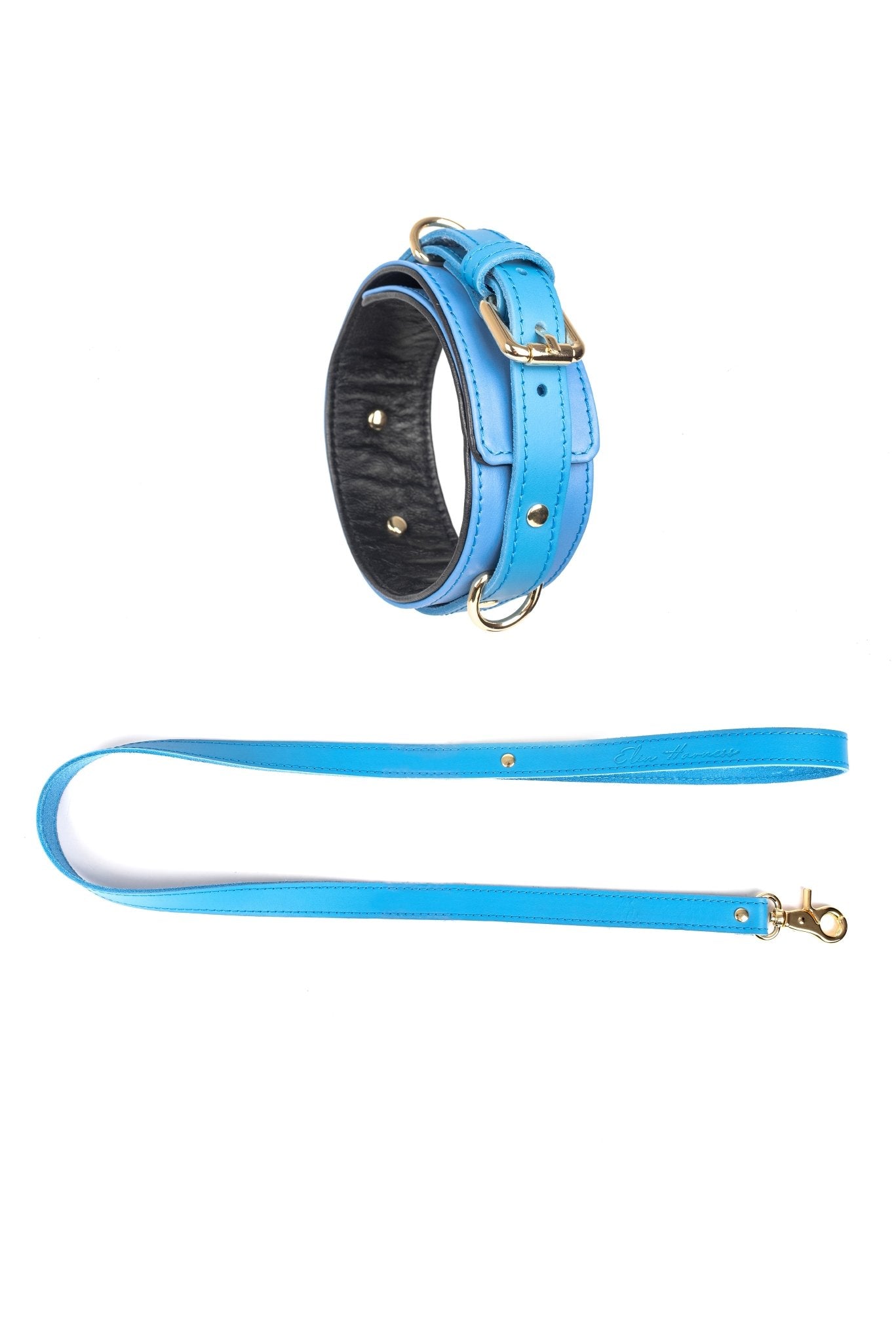 Leather Choker with Leash. 10 colors - Elinlatex