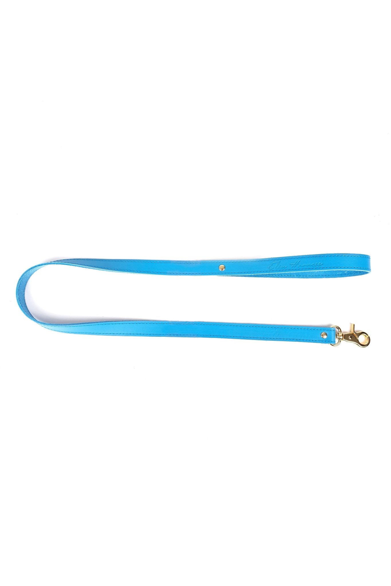 Leather leash. Blue - Elinlatex