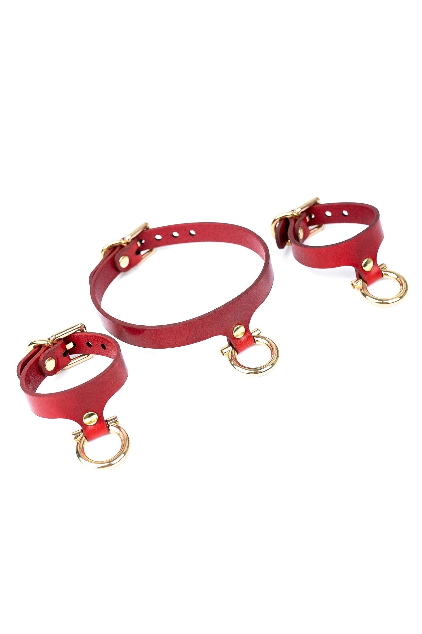 Set “Horseshoe” Cuffs And Collar - Elinlatex