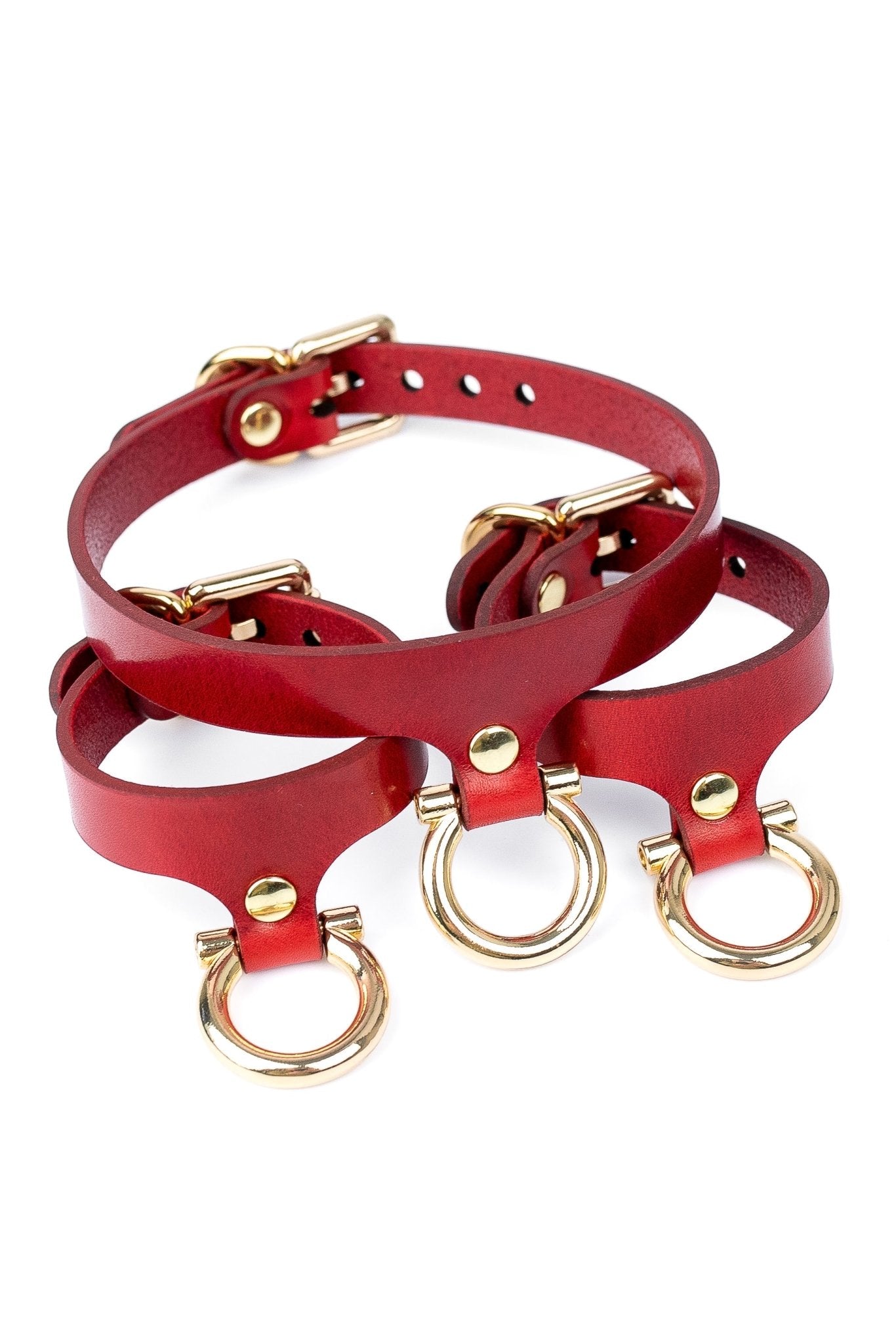 Set “Horseshoe” Cuffs And Collar - Elinlatex